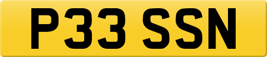 P33SSN