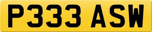 P333ASW