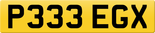 P333EGX
