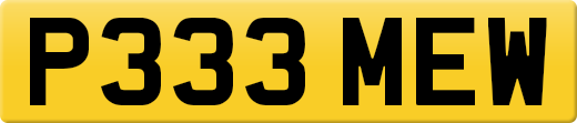 P333MEW