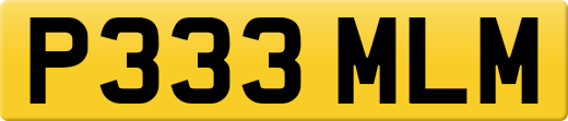 P333MLM