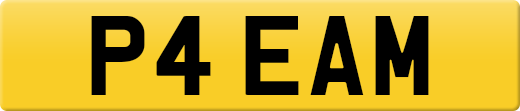 P4EAM