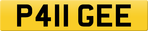 P411GEE