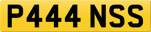 P444NSS