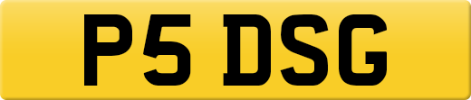 P5DSG