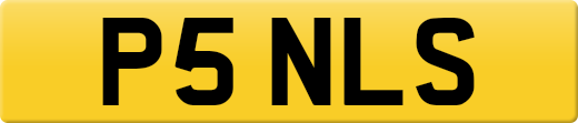 P5NLS