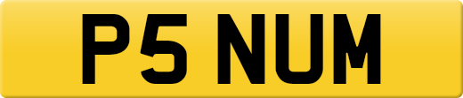 P5NUM