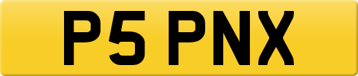 P5PNX