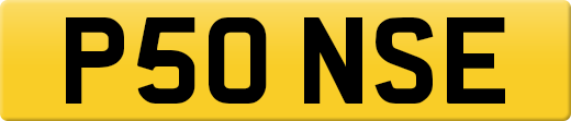 P50NSE