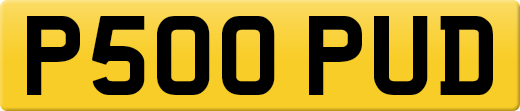 P500PUD