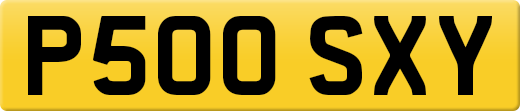 P500SXY