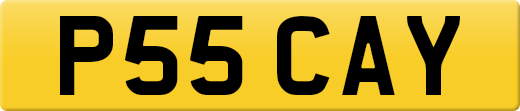 P55CAY