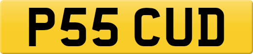 P55CUD