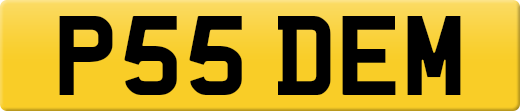P55DEM