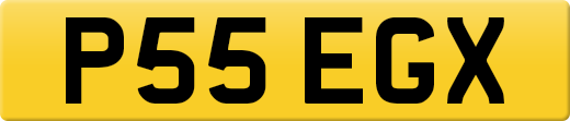 P55EGX