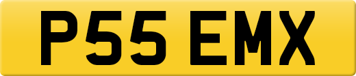 P55EMX
