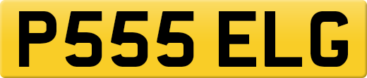 P555ELG