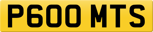 P600MTS