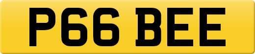 P66BEE