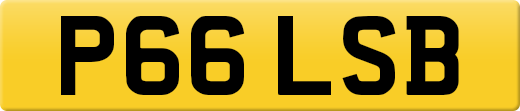 P66LSB