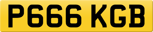 P666KGB