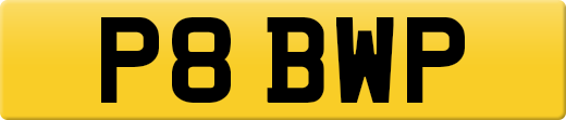P8BWP