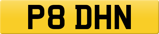 P8DHN