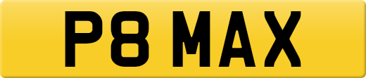 P8MAX