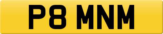 P8MNM