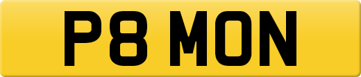 P8MON