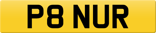 P8NUR