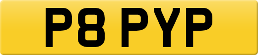 P8PYP