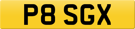 P8SGX