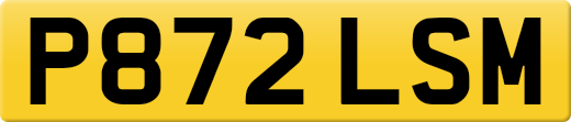 P872LSM