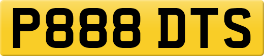 P888DTS