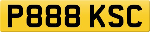 P888KSC