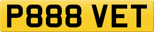 P888VET