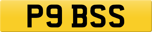 P9BSS
