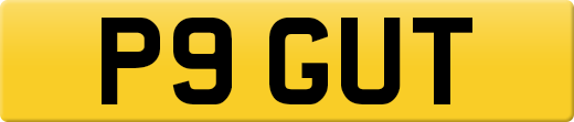 P9GUT