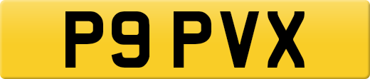 P9PVX
