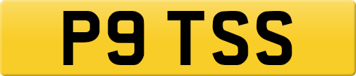 P9TSS