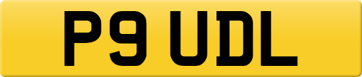 P9UDL