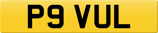 P9VUL