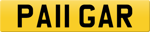 PA11GAR