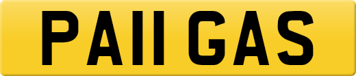PA11GAS