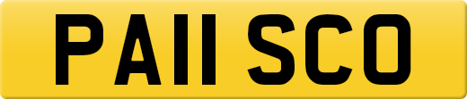 PA11SCO