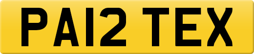 PA12TEX