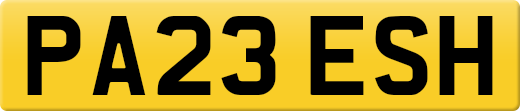 PA23ESH