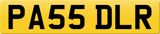 PA55DLR