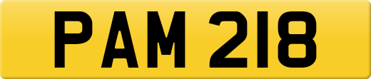PAM218